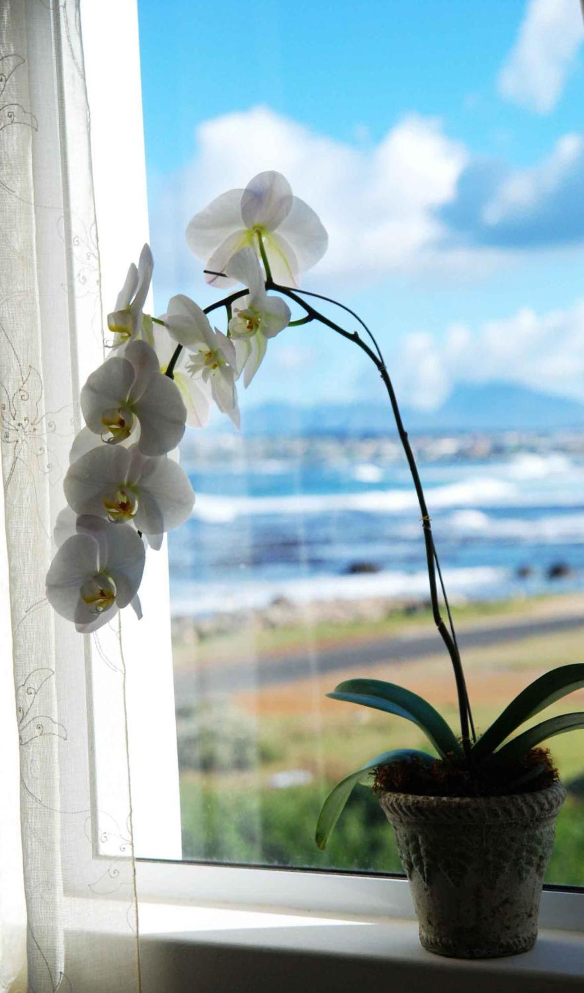 138 Marine Beachfront Guesthouse Hermanus Δωμάτιο φωτογραφία