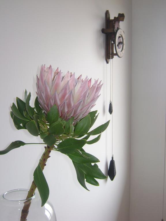 138 Marine Beachfront Guesthouse Hermanus Εξωτερικό φωτογραφία